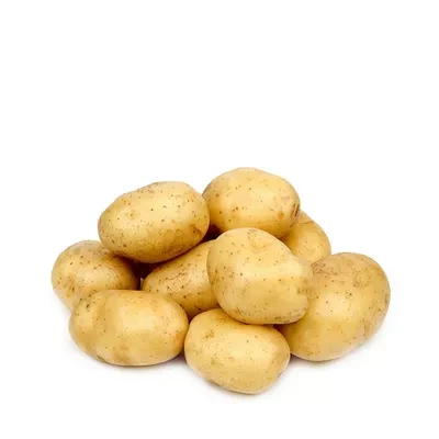 poteto regular