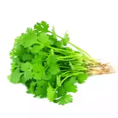 Coriander Leaves
