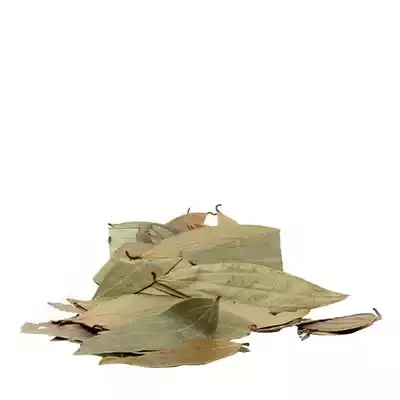 Bay Leaf