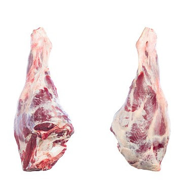 Meat & Fish